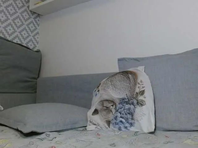 xxxDirtyBitchxxx – webcam model profile photo Image 9