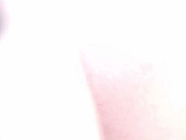 SusyBlair – webcam model profile photo Image 18