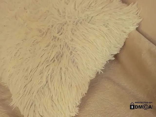 AlisaSweety – webcam model profile photo