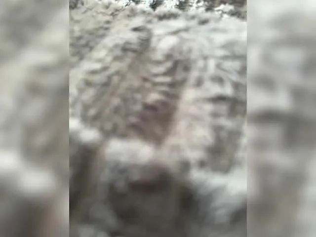 BigTitBlondeUK – webcam model profile photo Image 12