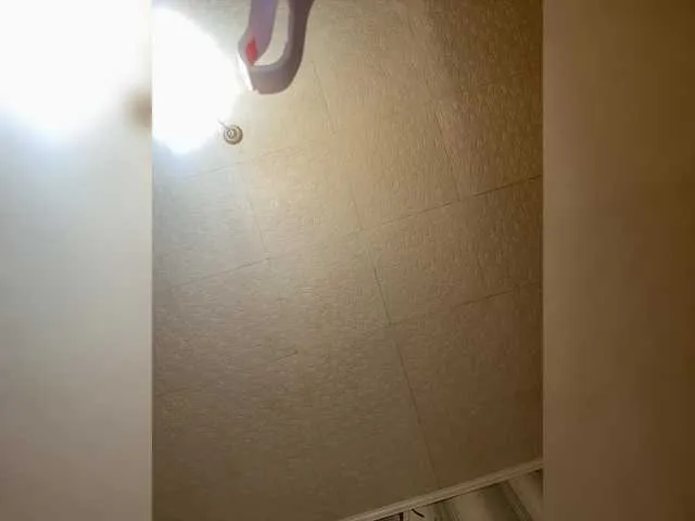 SusyBlair – webcam model profile photo Image 18