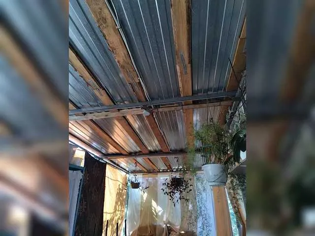 kaylalaine1 – webcam model profile photo Image 7