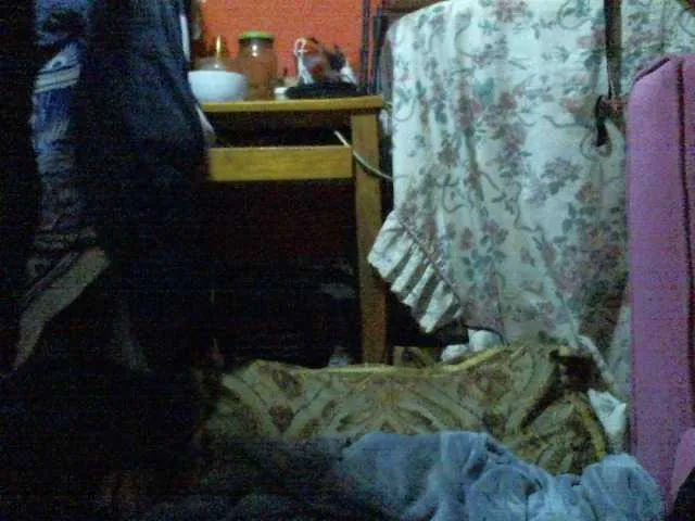 pevicha – webcam model profile photo Image 12