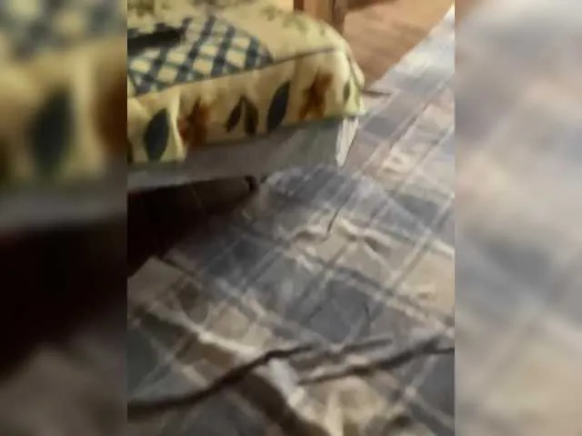 Scarlettsteelexo – webcam model profile photo Image 4