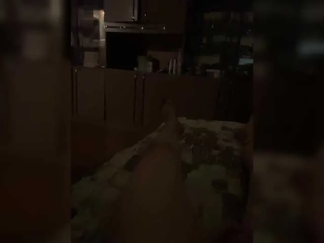 Scarlettsteelexo – webcam model profile photo Image 8