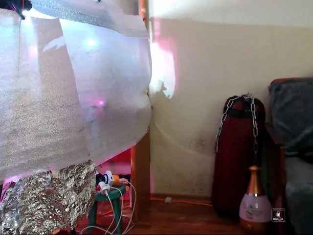 Blondebeauty19 – webcam model profile photo Image 11