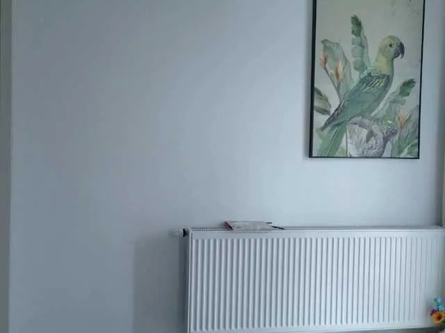 KarinaKokhana – webcam model profile photo Image 19