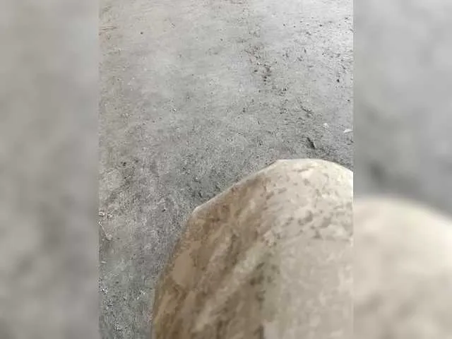 Princess-Dia – webcam model profile photo Image 14