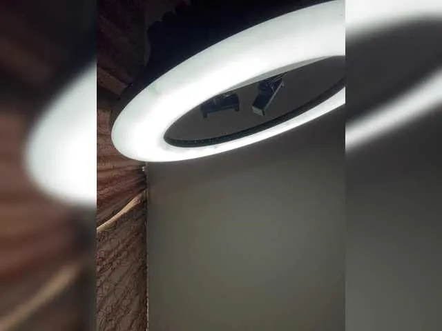 -Breid-1 – webcam model profile photo Image 5