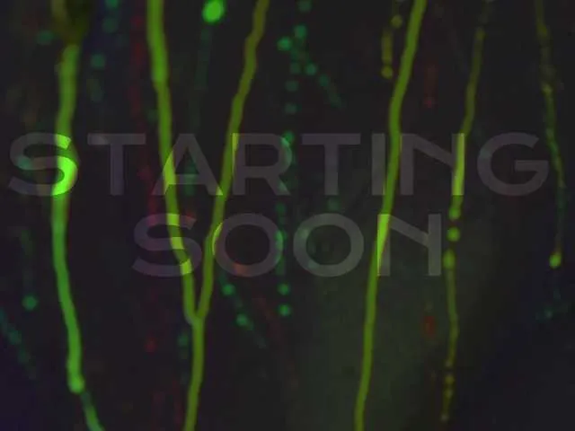 British_EmJess – webcam model profile photo Image 5