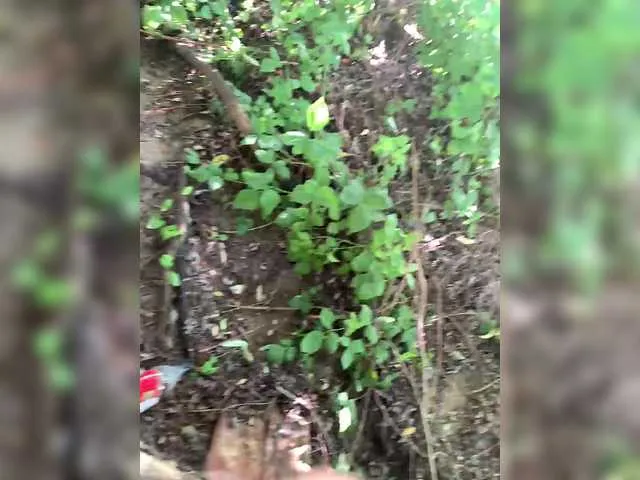 TyleneBuck – webcam model profile photo Image 6