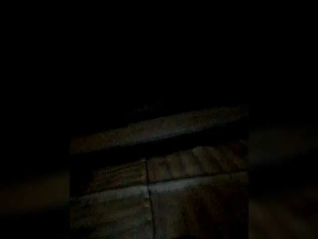 Iriska2025 – webcam model profile photo