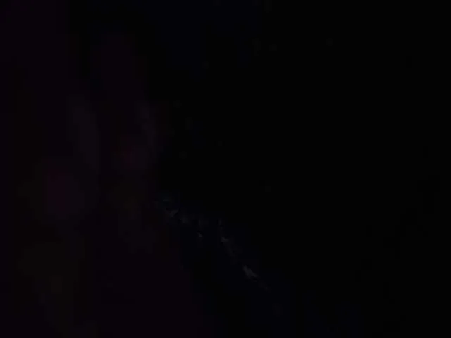 xlunami – webcam model profile photo Image 16