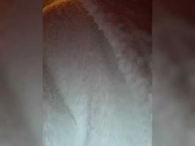 SofiaSins – webcam model profile photo Image 4