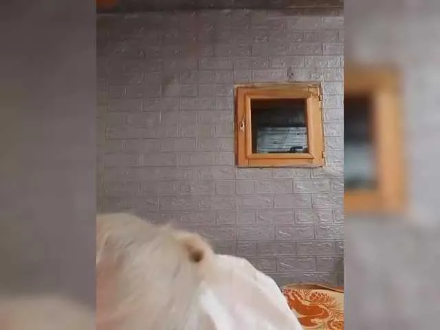 Shantel001 – webcam model profile photo Image 3