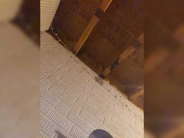 SusyBlair – webcam model profile photo Image 11