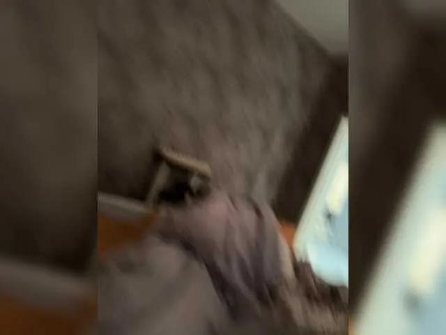 VioletchelseaBabesatation – webcam model profile photo Image 3