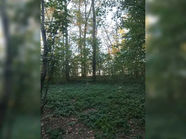 bunny_blonde – webcam model profile photo Image 18