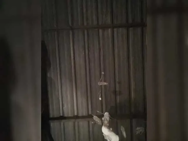 JessieBlonde – webcam model profile photo Image 5