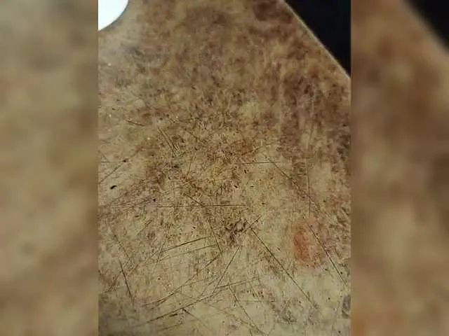 SofiaSins – webcam model profile photo Image 6