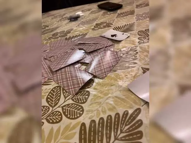 purpur33 – webcam model profile photo