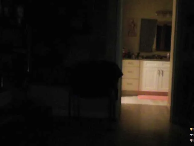 AureliyXXX – webcam model profile photo Image 13