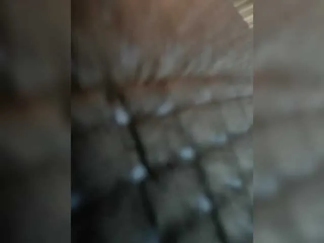 Sun-Moon – webcam model profile photo Image 9