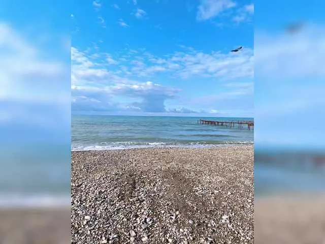 lesbifelinas – webcam model profile photo Image 5