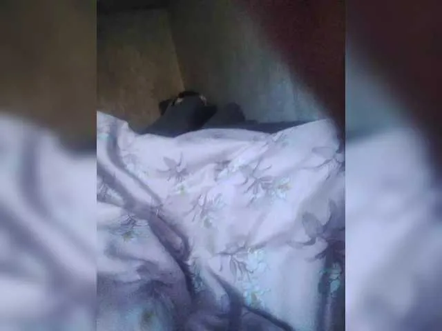 bunny_blonde – webcam model profile photo Image 8