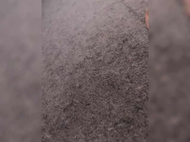 VioletchelseaBabesatation – webcam model profile photo Image 16