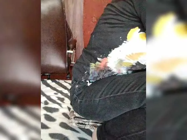 Anesteishen – webcam model profile photo Image 12