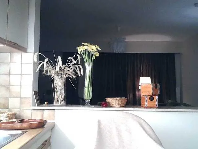 SquirtleBabyy – webcam model profile photo Image 19