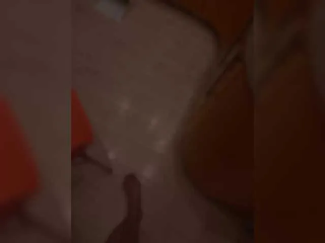 heanvenlyblonde – webcam model profile photo Image 7