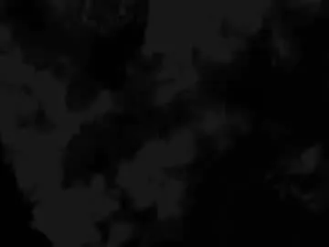 BlondeHott – webcam model profile photo Image 11