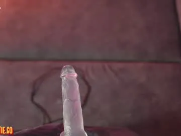 wellicaren – webcam model profile photo Image 7