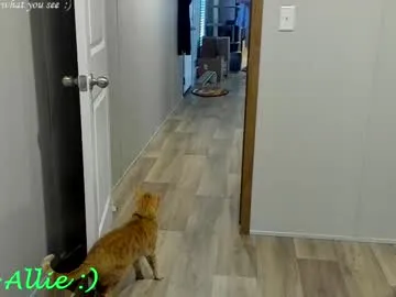 xlunami – webcam model profile photo Image 5