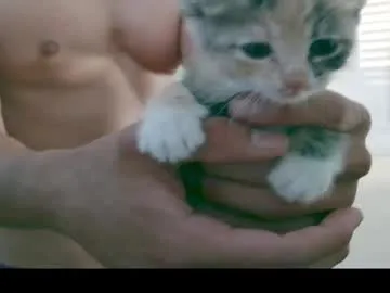 LannaGracesX – webcam model profile photo Image 9