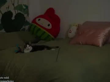 LoraDevine – webcam model profile photo Image 10