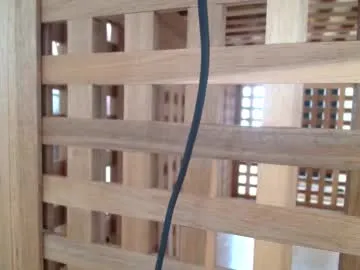 ANASTEIK – webcam model profile photo Image 6