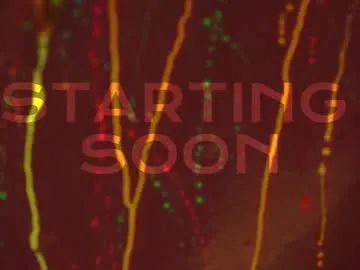 SilviaPastori – webcam model profile photo Image 15