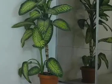 TenderLora – webcam model profile photo Image 2