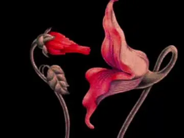 BlondeScarlettx – webcam model profile photo Image 8