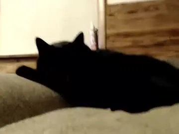 Scarlettsteelexo – webcam model profile photo Image 17