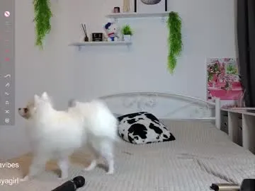 SilviaPastori – webcam model profile photo Image 17