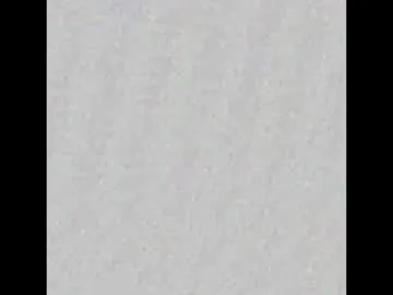 ReginaShine – webcam model profile photo Image 15