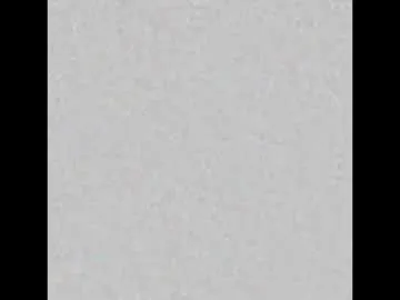 ReginaShine – webcam model profile photo Image 16