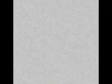 ReginaShine – webcam model profile photo Image 19