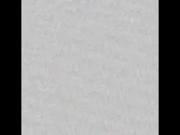 ReginaShine – webcam model profile photo Image 5