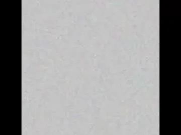 ReginaShine – webcam model profile photo Image 8