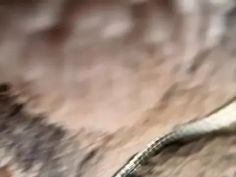 crazyfor-sex – webcam model profile photo Image 4